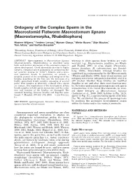 Ontogeny of the Complex Sperm in the Macrostomid Flatworm Macrostomum Lignano (Macrostomorpha, Rhabditophora)