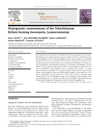 Phylogenetic Reassessment of the Teloschistaceae (Lichen-Forming Ascomycota, Lecanoromycetes)