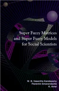 Super Fuzzy Matrices and Super Fuzzy Models for Social Scientists