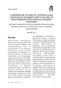 Tapa Multe 11