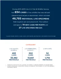 Seizure Data Report