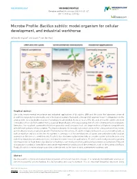 Bacillus Subtilis: Model Organism for Cellular Development, and Industrial Workhorse