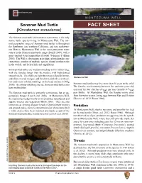 Fact Sheet Overview Fact Sheet