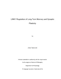 LIMK1 Regulation of Long-Term Memory and Synaptic Plasticity