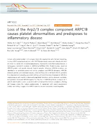 Loss of the Arp2/3 Complex Component ARPC1B Causes Platelet Abnormalities and Predisposes to Inﬂammatory Disease