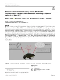 Effect of Triclosan on the Functioning of Liver Mitochondria And
