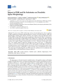Impact of JNK and Its Substrates on Dendritic Spine Morphology