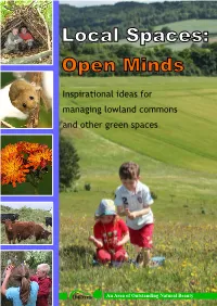 Local Spaces Open Minds Report