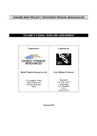Project Name