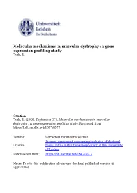 Molecular Mechanisms in Muscular Dystrophy : a Gene Expression Profiling Study Turk, R