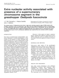 Extra Nucleolar Activity Associated with Chromosome Segment in The