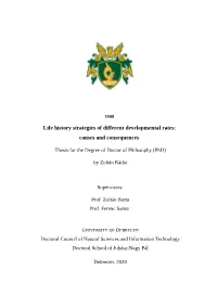 Life History Strategies of Different Developmental Rates: Causes and Consequences