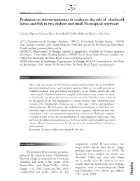Predation on Microcrustaceans in Evidence: the Role of Chaoborid Larvae and Fish in Two Shallow and Small Neotropical Reservoirs