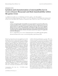 Isolation and Characterization of Microsatellite Loci in Geum Urbanum (Rosaceae) and Their Transferability Within the Genus Geum