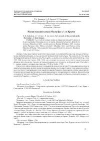 (Noctuidae Sl) В Крыму