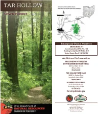 Tar Hollow State Forest