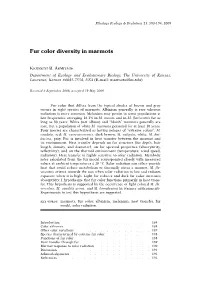 Fur Color Diversity in Marmots