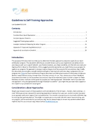 Guidelines to Self-Training Approaches