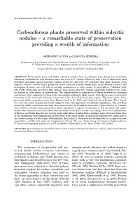 Carboniferous Plants Preserved Within Sideritic Nodules – a Remarkable State of Preservation Providing a Wealth of Information