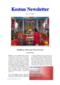 Newsletter No 12 2010