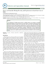 Survey on Penaeidae Shrimp Diversity and Exploitation in South