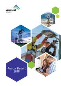 2018 Annual Report