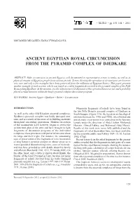 Ancient Egyptian Royal Circumcision from the Pyramid Complex of Djedkare