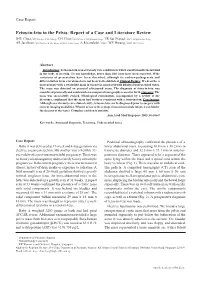 Fetus-In-Fetu in the Pelvis: Report of a Case and Literature Review
