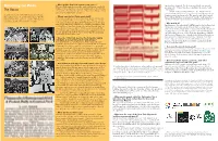 Marching for Pride: the Basics