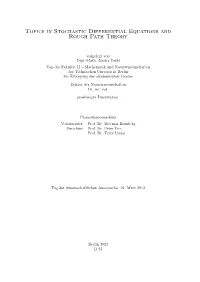 Topics in Stochastic Differential Equations and Rough Path Theory