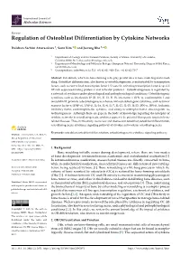 Regulation of Osteoblast Differentiation by Cytokine Networks