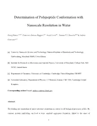 Determination of Polypeptide Conformation with Nanoscale