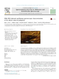 SEM, EDX, Infrared and Raman Spectroscopic Characterization of the Silicate Mineral Yuksporite ⇑ Ray L
