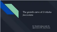 The Growth Curve of Crithidia Fasciculata