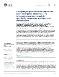 Kasugamycin Potentiates Rifampicin and Limits Emergence of Resistance