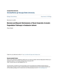 Mechanisms of Novel Anaerobic Aromatic Degradation Pathways in Geobacter Daltonii