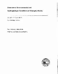 Overview of Environmental and Hydrogeologic Conditions at Wrangell, Alaska