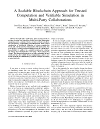 Scalable Blockchains for Computational Trust