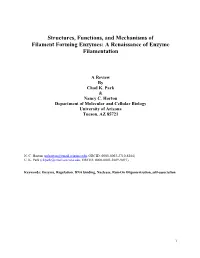 Structures, Functions, and Mechanisms of Filament Forming Enzymes: a Renaissance of Enzyme Filamentation