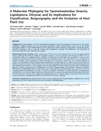 A Molecular Phylogeny for Yponomeutoidea (Insecta, Lepidoptera, Ditrysia) and Its Implications for Classification, Biogeography and the Evolution of Host Plant Use