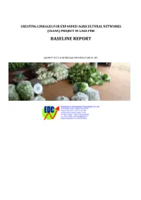 Baseline Report