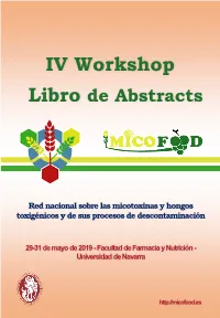 IV Workshop Libro De Abstracts