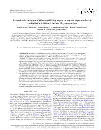 Remarkable Variation of Ribosomal DNA Organization and Copy Number in Gnetophytes, a Distinct Lineage of Gymnosperms