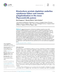 Kinetochore Protein Depletion Underlies Cytokinesis Failure And