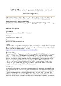 Marine Invasive Species in Nordic Waters - Fact Sheet