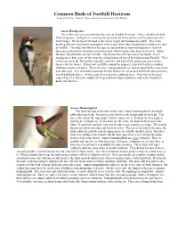 Common Birds of Foothill Horizons Compiled by Pam “Tenaya” Hardy, Updated and Amended by Dan Webster