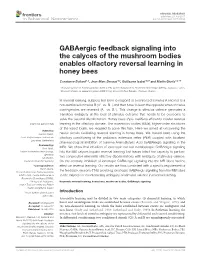 Gabaergic Feedback Signaling Into the Calyces of the Mushroom Bodies Enables Olfactory Reversal Learning in Honey Bees