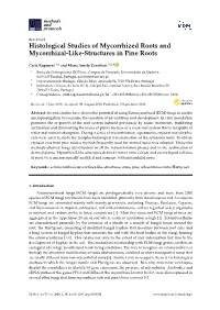 Histological Studies of Mycorrhized Roots and Mycorrhizal-Like-Structures in Pine Roots