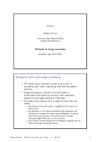 Vision Biological Vision and Image Processing
