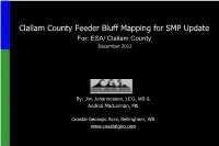 Feeder Bluff Mapping for SMP Update